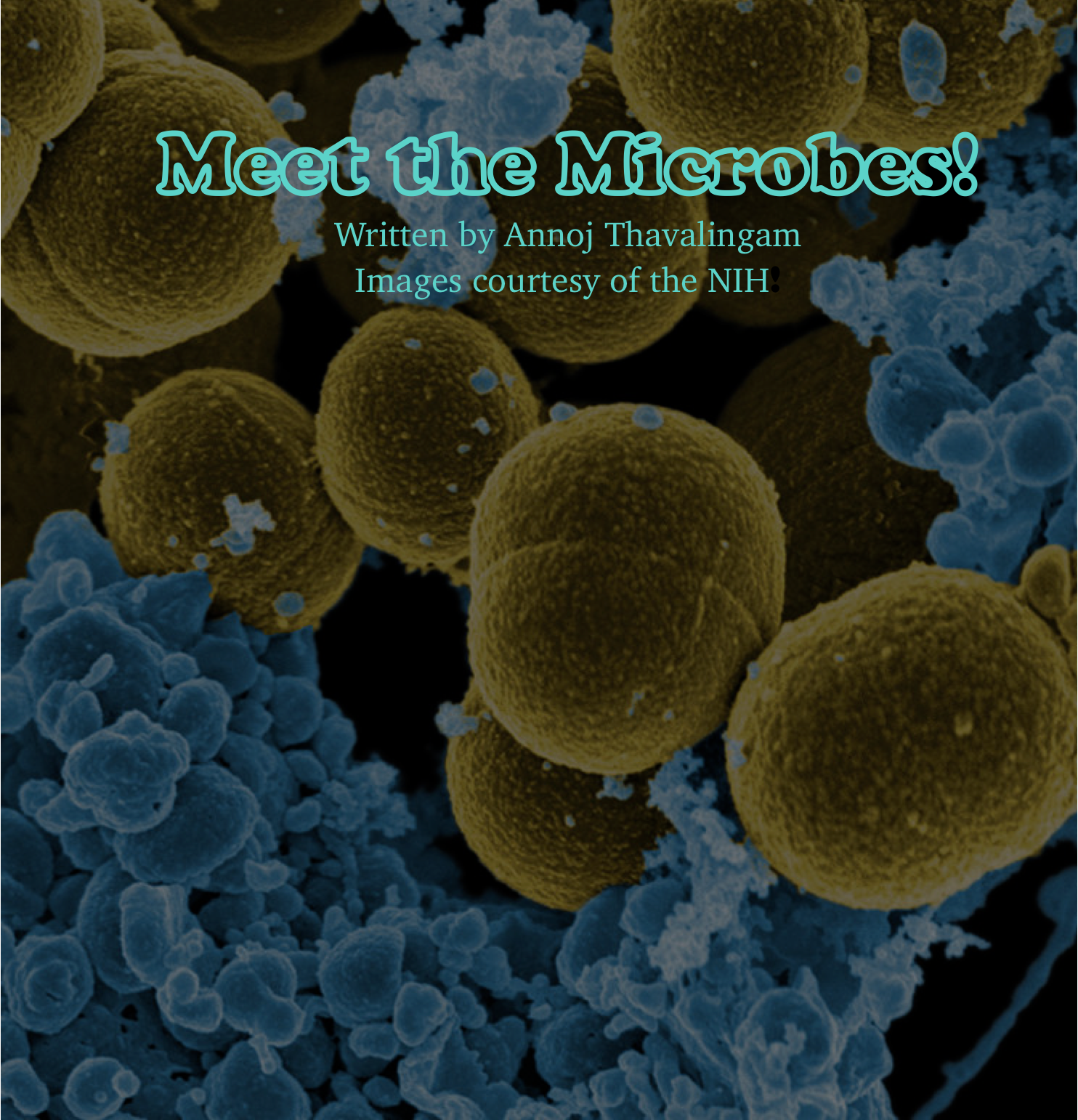 Deinococcus radiodurans - microbewiki