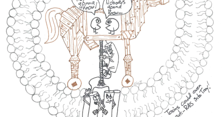 BIOCHEMISTRY CARTOON SERIES: BACTERIAL TOXINS AS THE TROJAN HORSE IN BATTLING PANCREATIC CANCER