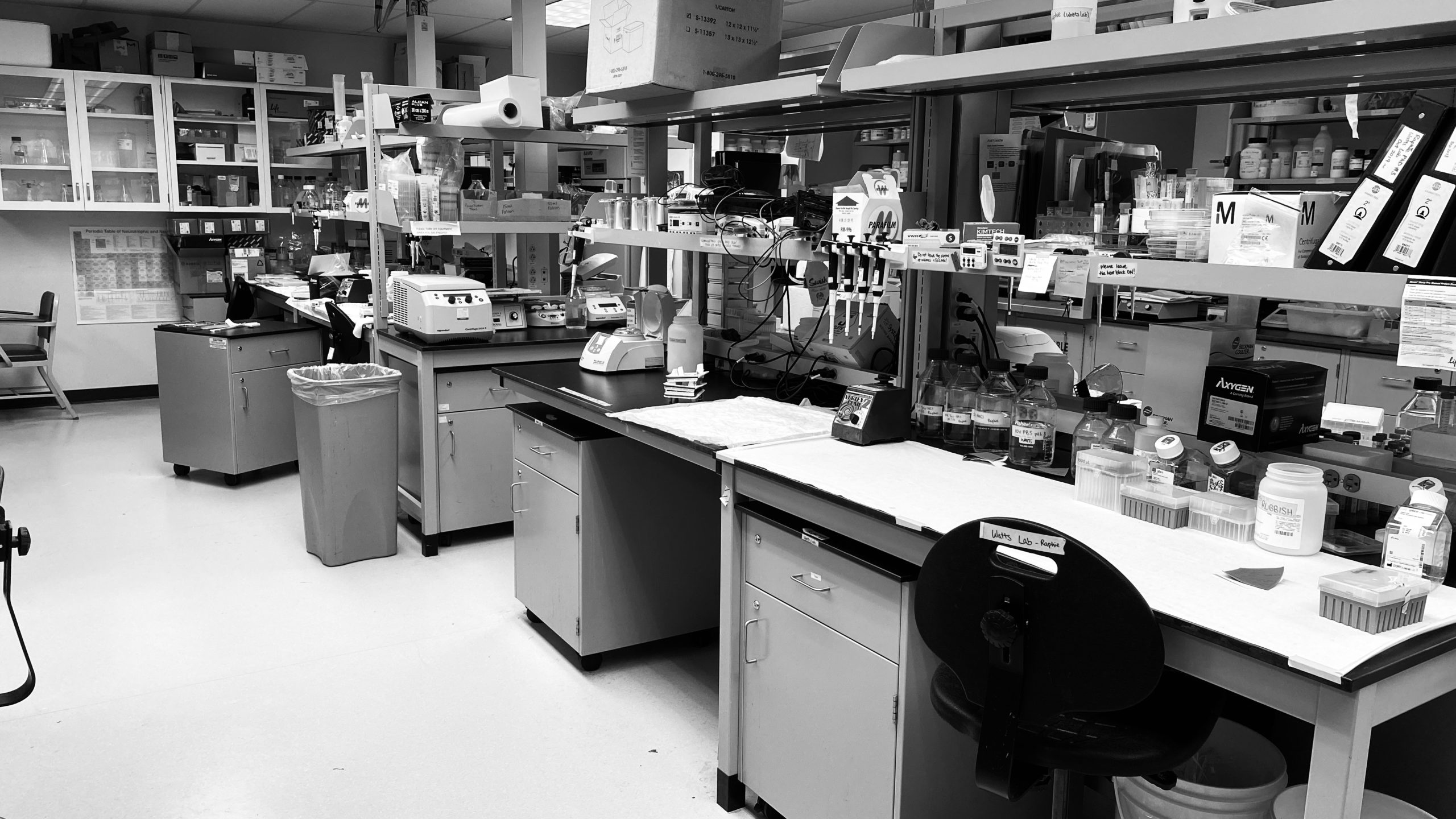 Black-and-white photo of an empty Watts lab at 9 am.