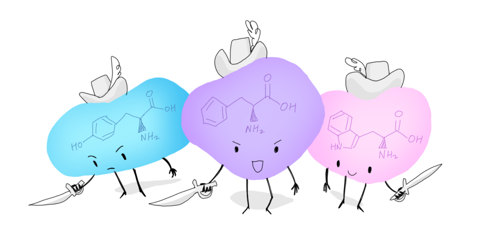 People’s Choice of Amino Acids Nominating Our Favorite Protein
